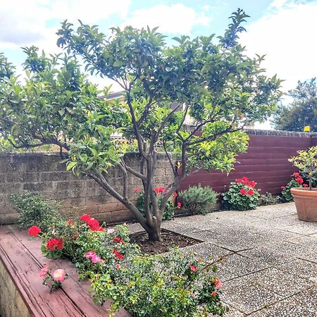 Appartamento Galgani San Vincenzo Ngoại thất bức ảnh